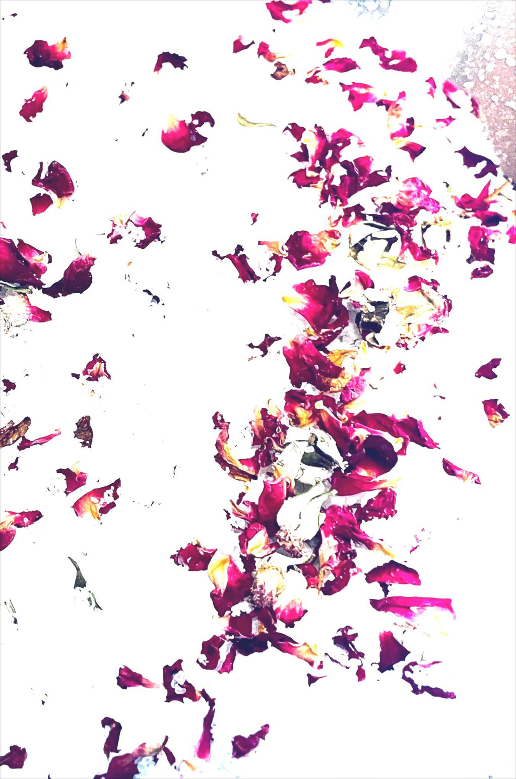 May include: Close-up of white bath salts with scattered dried red rose petals and buds. The salts are coarse and granular, creating a textured surface. The rose petals add a touch of color and fragrance to the bath product.