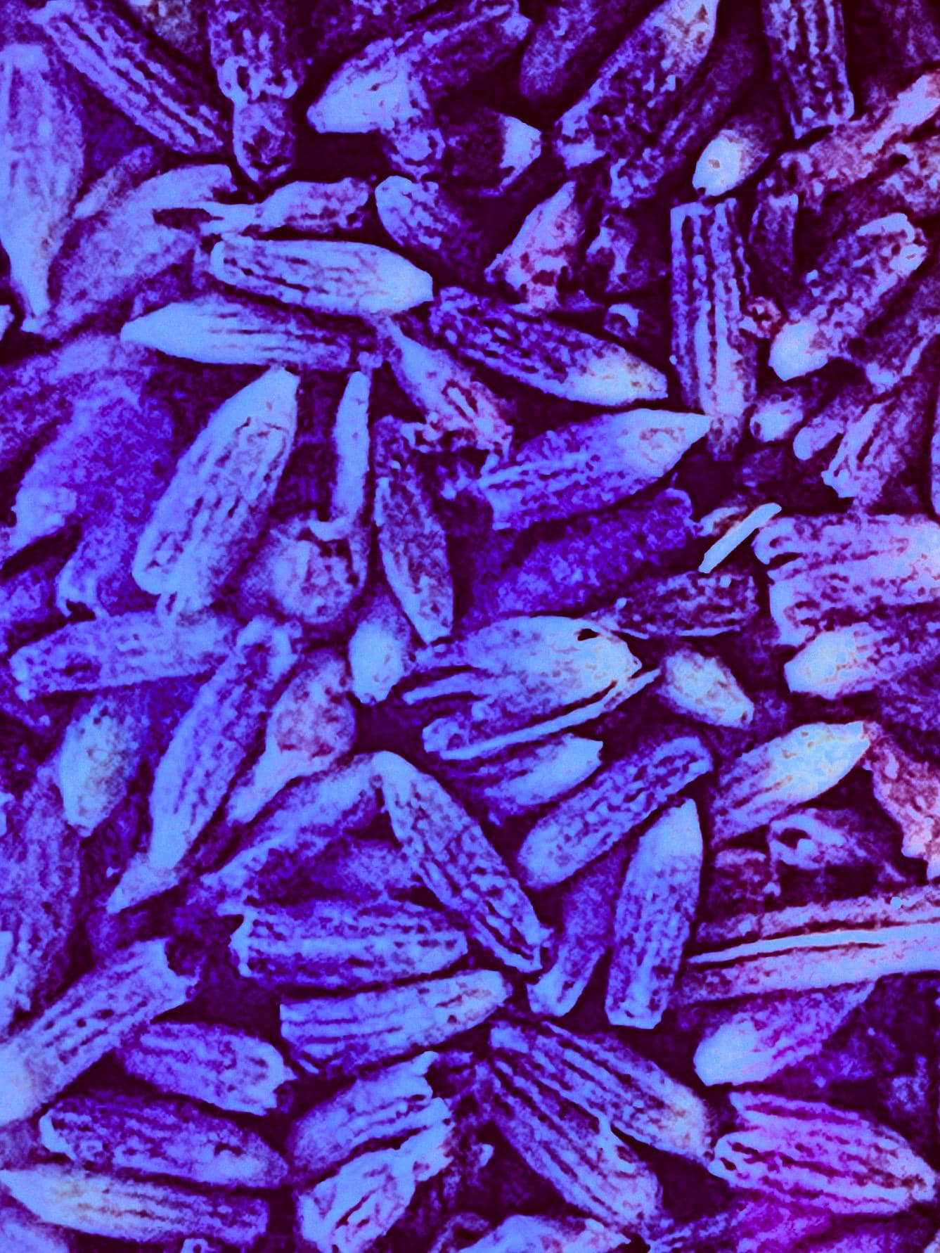Lavender Pampering Experience
